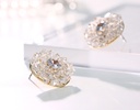 Exquisite Crystal Round Earrings