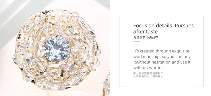 Exquisite Crystal Round Earrings