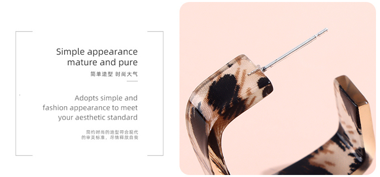 925 Silver Needle Elegant Square Resin Earrings