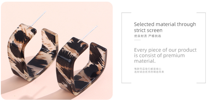 925 Silver Needle Elegant Square Resin Earrings