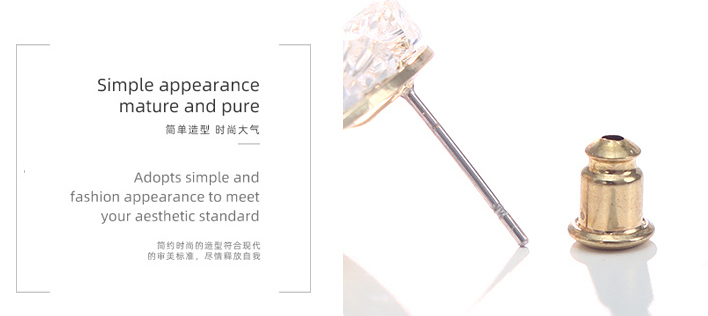 Exquisite Crystal Round Earrings
