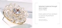 Exquisite Crystal Round Earrings