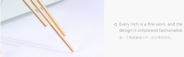 925 Silver Needle Straight Earrings