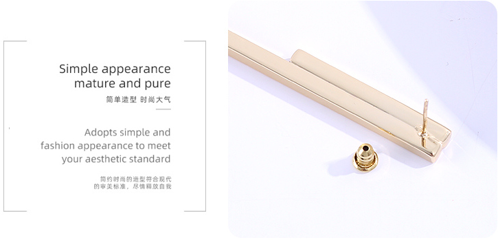 925 Silver Needle Straight Earrings