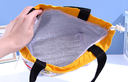 Famous Painting Series Image Lunch Bag