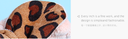 Leopard Print Hair-drying Headband(Khaki)