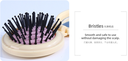 Macaron Series Portable Hair Brush with Mirror