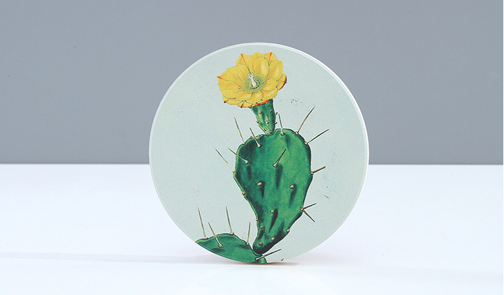 Cartoon Cactus Diatomite Drink Cup Coaster