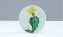 Cartoon Cactus Diatomite Drink Cup Coaster