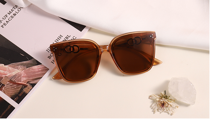 Classy Large Frame Sunglasses (Tawny Frame and Lens)
