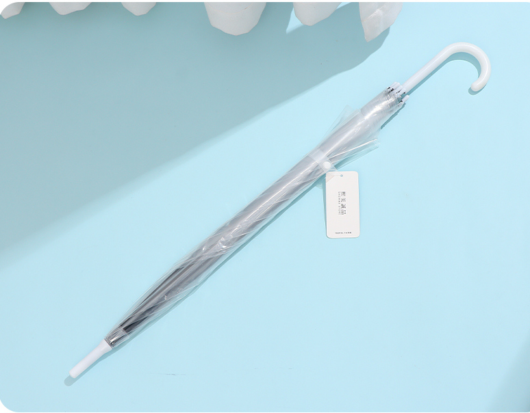 Solid Color Transparent Umbrella