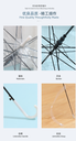 Solid Color Transparent Umbrella