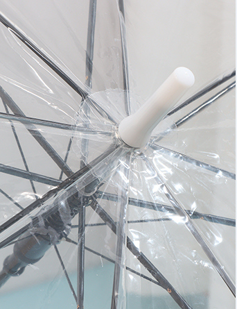 Solid Color Transparent Umbrella
