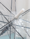Solid Color Transparent Umbrella