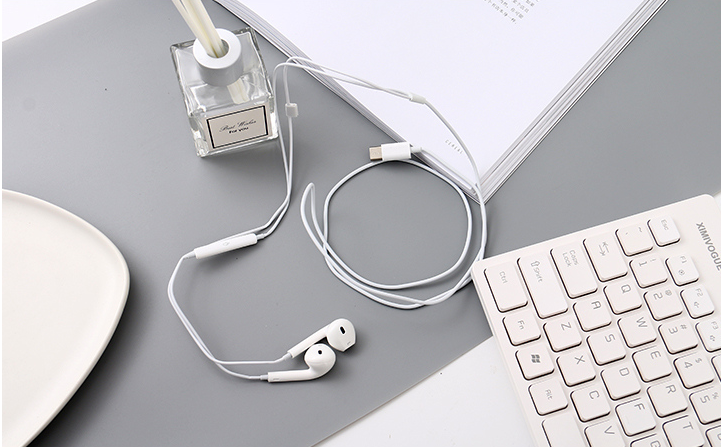 UP23 Type-C Earphones (White)