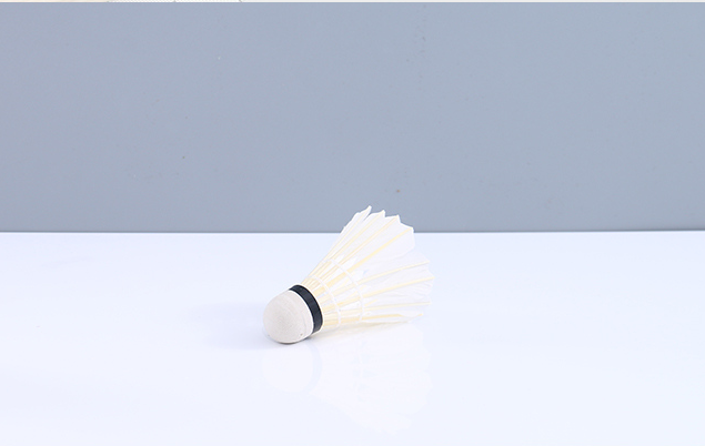 Badminton Shuttlecocks(4*1 Bucket)