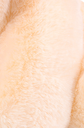دمية دب لطيفة (M)
