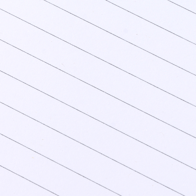 دفتر ملاحظات حلزوني مبطن برسومات حيوانات من ليزي لاين B5