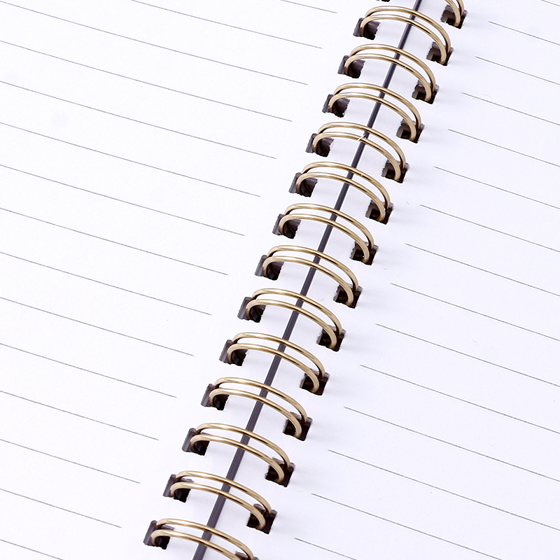 دفتر ملاحظات حلزوني مبطن برسومات حيوانات من ليزي لاين B5