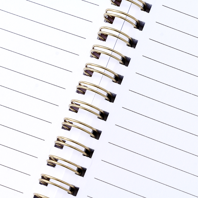 دفتر ملاحظات لولبي مبطن برسومات حيوانات من ليزي لاين مقاس A6