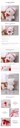 Lace Bow Cat Doll(S)