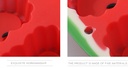 Watermelon Collection Heart Shaped Cake Mold
