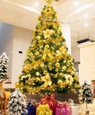 Christmas Stripes(Gold)(2 M)