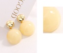 Simple Resin Round Earrings
