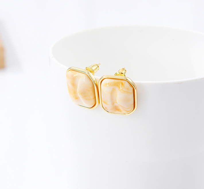 Stylish Retro Square Resin Earrings
