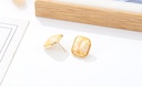 Stylish Retro Square Resin Earrings