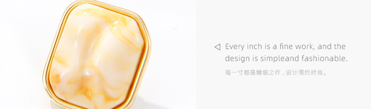Stylish Retro Square Resin Earrings