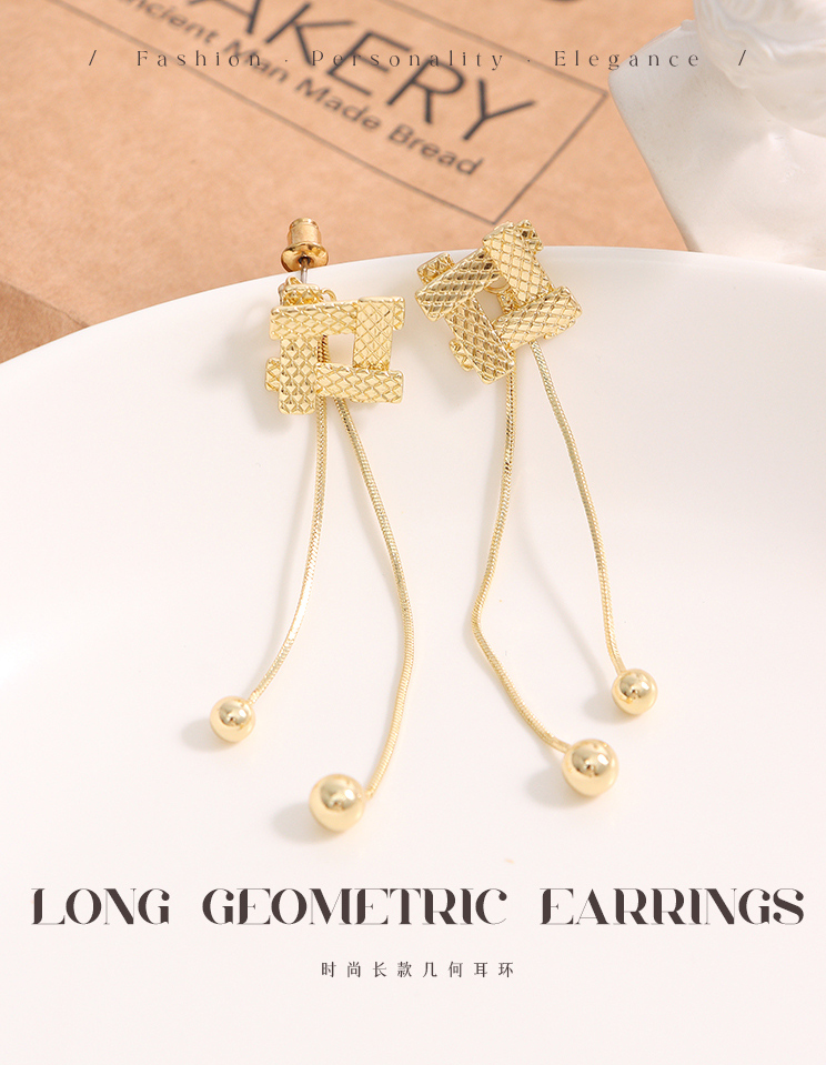 Stylish Long Geometric Earrings