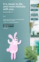 Pink Rabbit Soft Self-Adhesive Hook