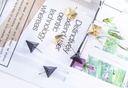 Pushpin Set