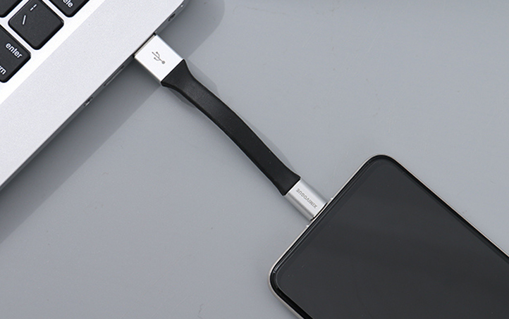 Type-C Creative Keychain Data Cable (Silver)