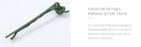 Bear Hairpins Set