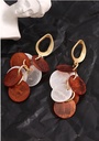 Stylish Metal Acrylic Round Earrings