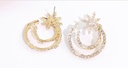 Stylish Zircon Moon Star Earrings
