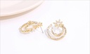 Stylish Zircon Moon Star Earrings