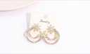 Stylish Zircon Moon Star Earrings