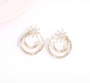 Stylish Zircon Moon Star Earrings