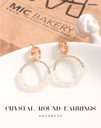 Stylish Crystal Round Earrings