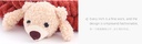 Popular Bear Hair-drying Headband