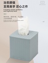 Plastic Rattan Square Tissue Box (Blue-Gray)