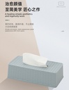 Plastic Rattan Rectangular Tissue Box (Blue-Gray)