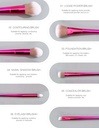 Gradient Fuchsia Rose Collection Makeup Brushes (6 Pcs/Set)