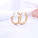 Metal Irregular Round Large Earrings
