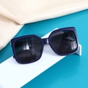 Stylish Big Frame Unisex Sunglasses for Adult(Bluish Violet)