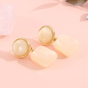 925 Silver Needle Geometric Resin Earrings