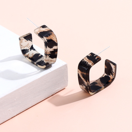 925 Silver Needle Elegant Square Resin Earrings